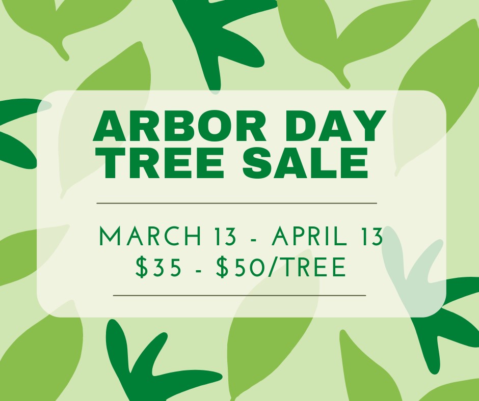 ARBOR DAY 2023 (1)