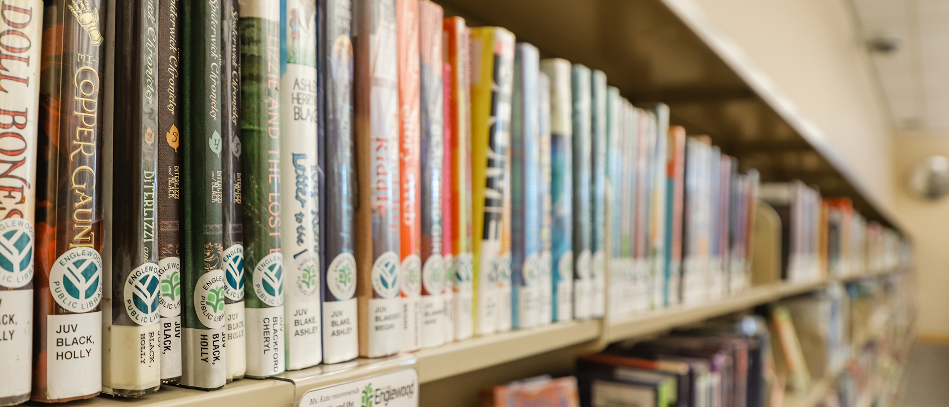 Library Bookshelf