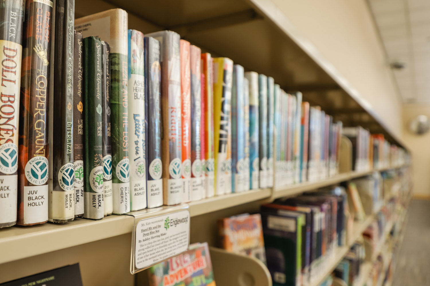 Book Shelf