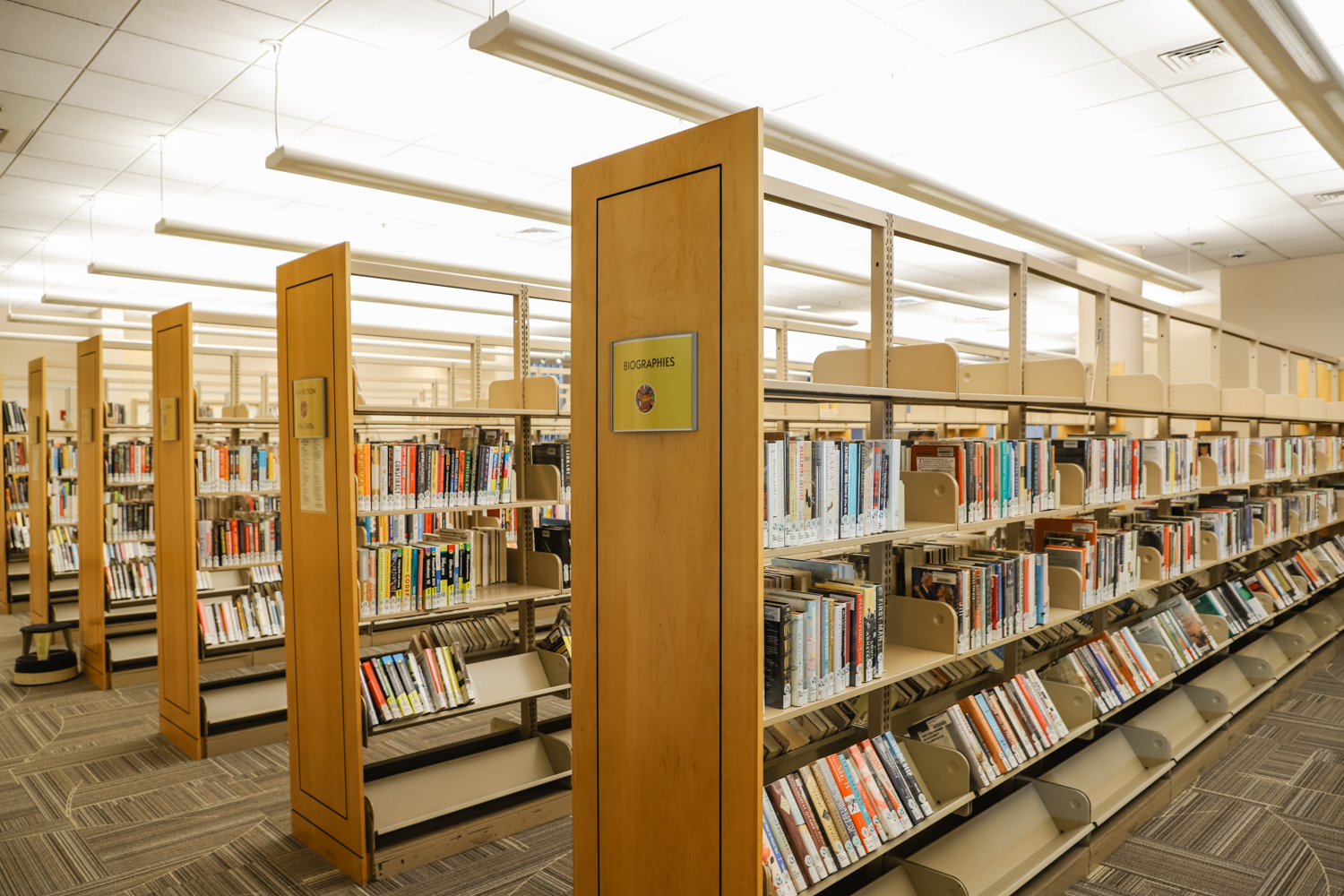 Rows of Books