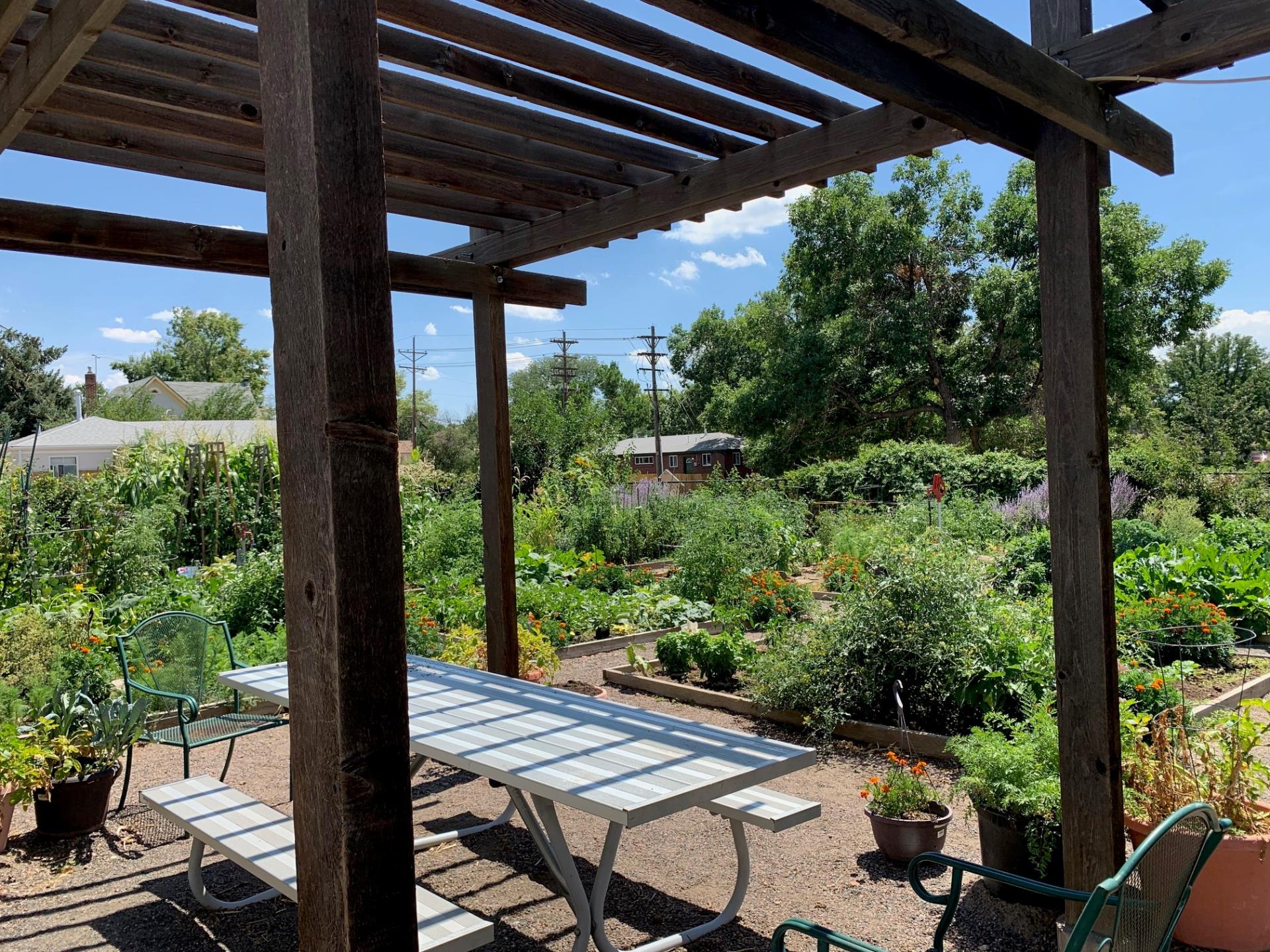 Picture of Englewood Community Garden looking through the arbor at vegetable gardens