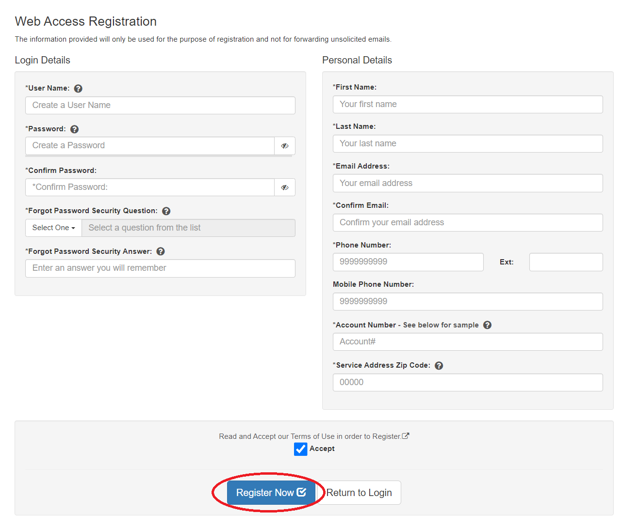 Example of Sign Up Form with Register Now Button