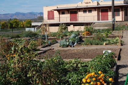 Englewood Community Garden with Depot