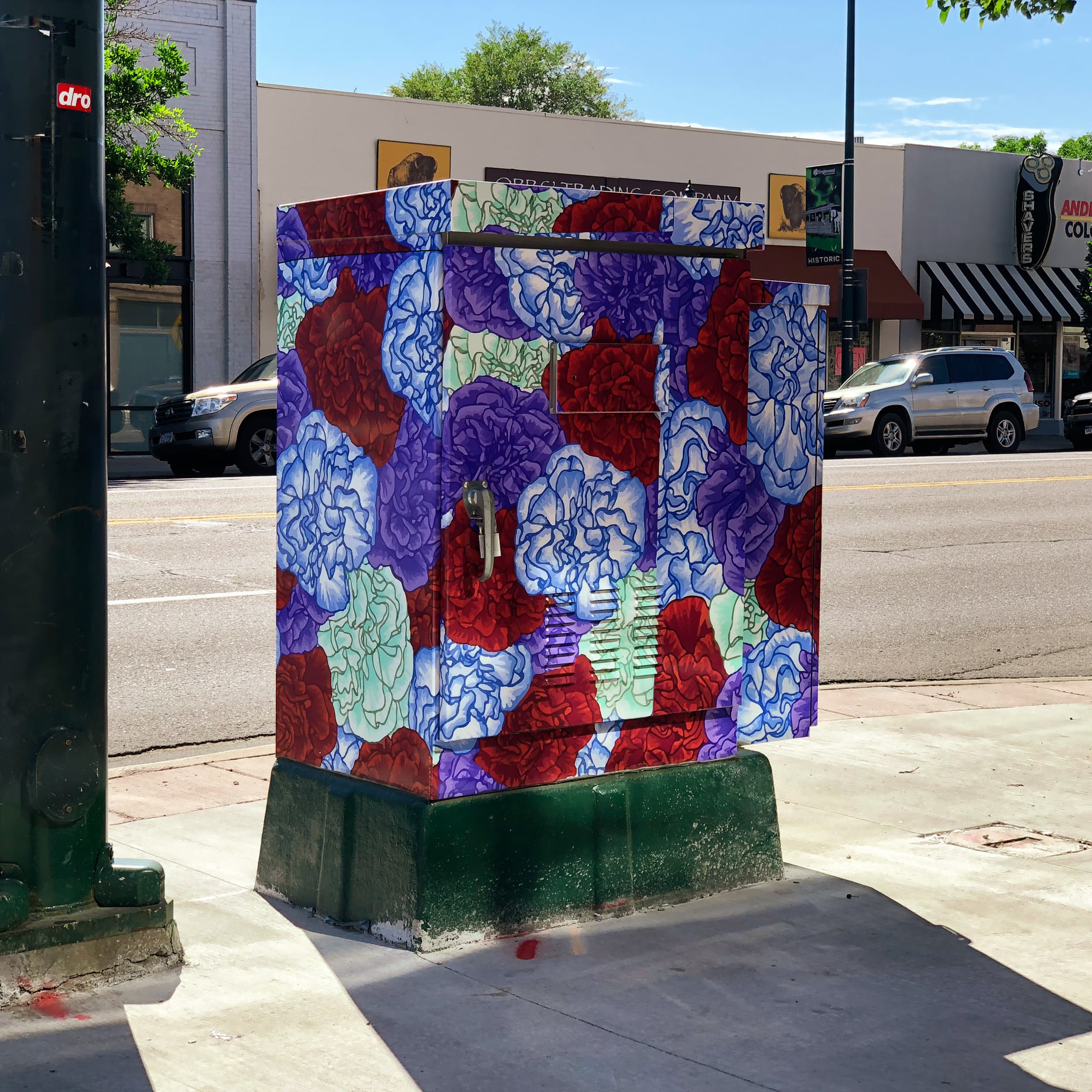 Carnation Utility Box Wrap