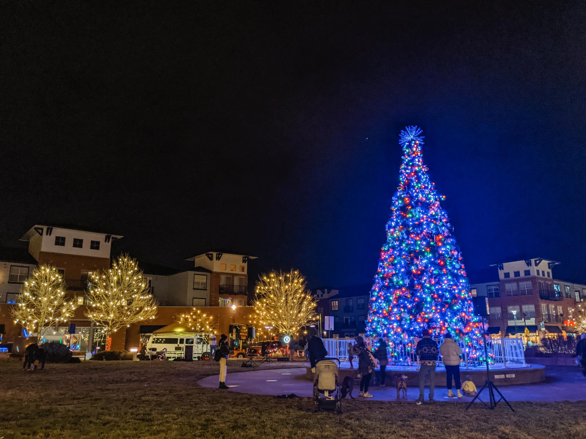 Tree Lighting